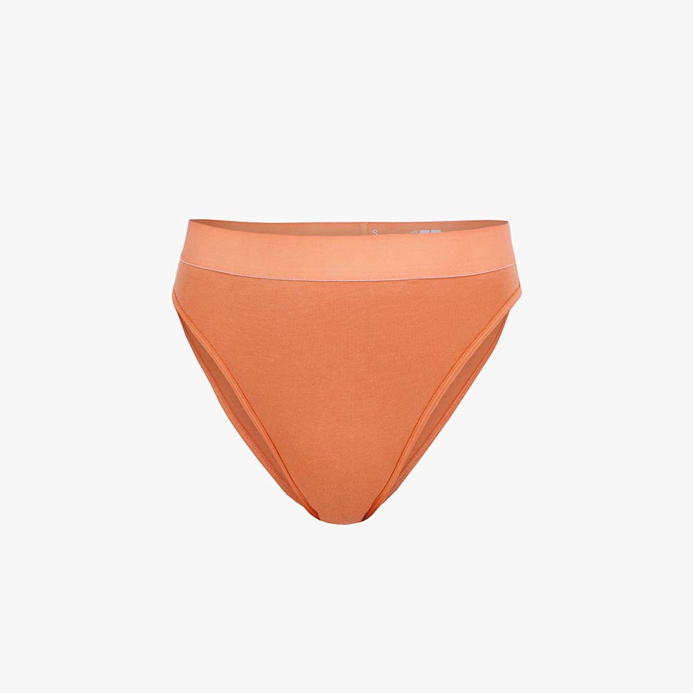 Cotton French Brief + Elastic
