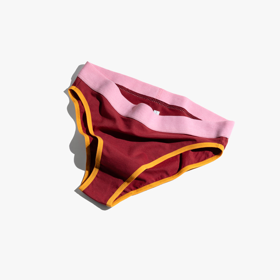 Triangle Bra + Elastic French Brief Set | Multicolor