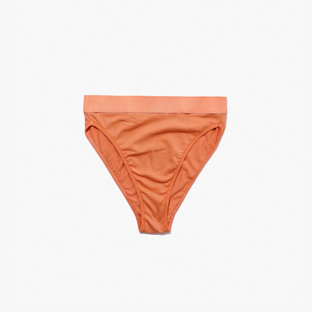 Cotton French Brief + Elastic