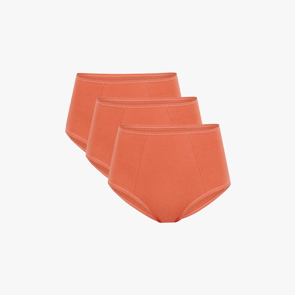 Plain Cotton High-Waist Brief | 3-Pack Single Color