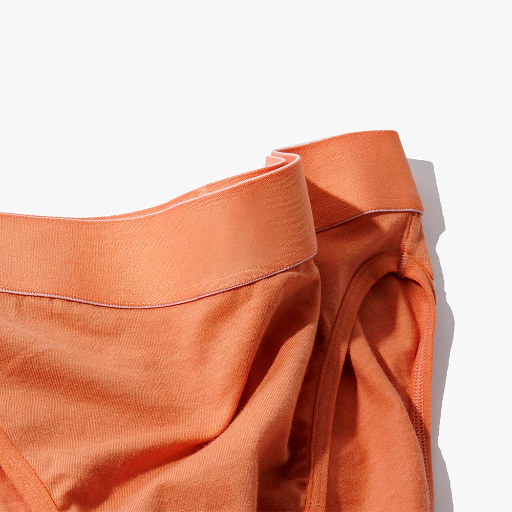 Cotton French Brief + Elastic