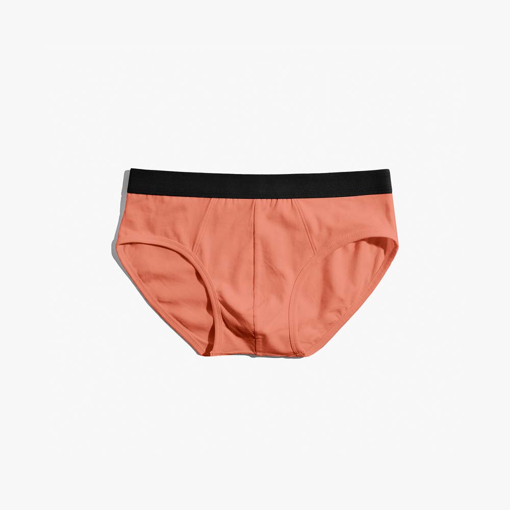 Plain Cotton Brief | 2-Pack