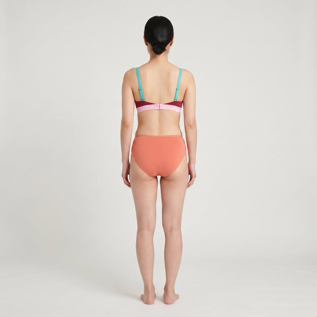 Plain Cotton Bikini Brief | Three-Pack, worn, back view