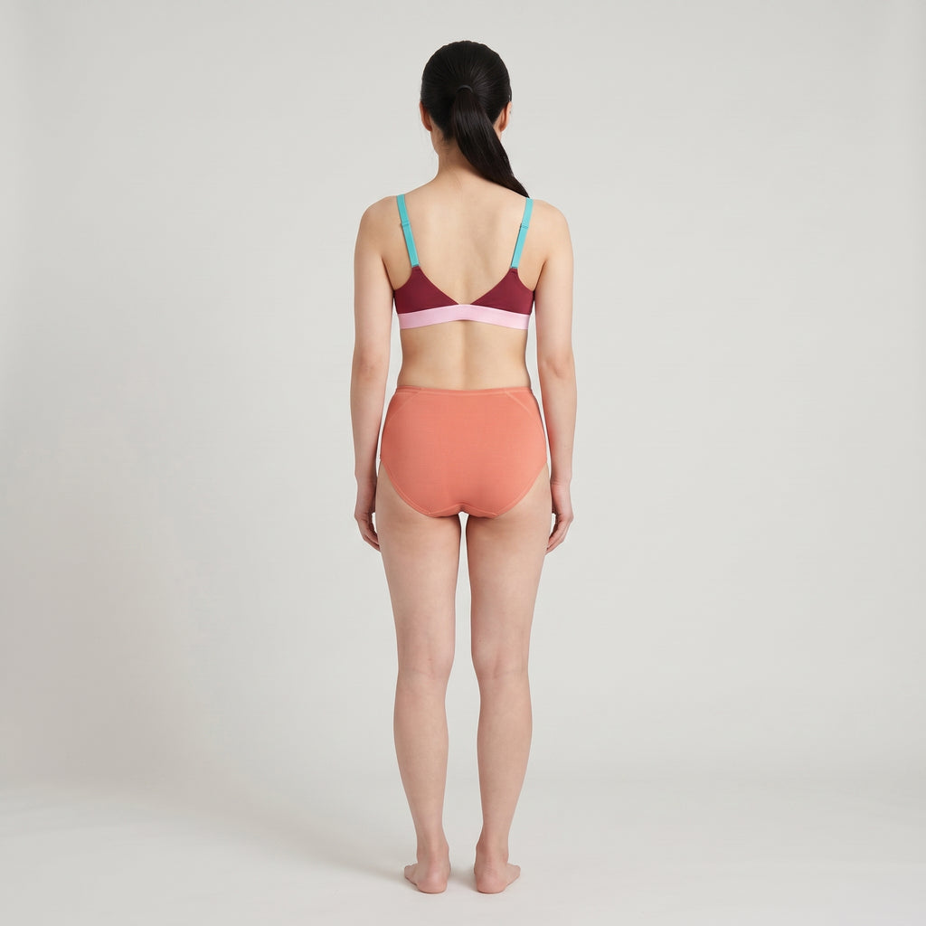 Plain Cotton Boyshort | 3-Pack, worn, back view