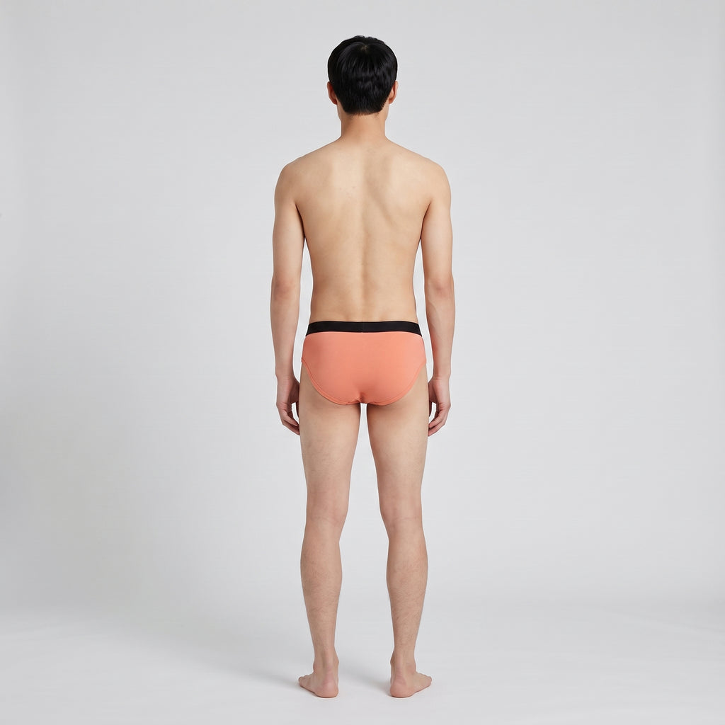 Plain Cotton Brief | 2-Pack, worn, back view