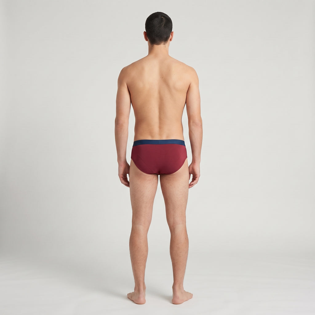 Plain Cotton Brief | 2-Pack Two Colors, worn, back view