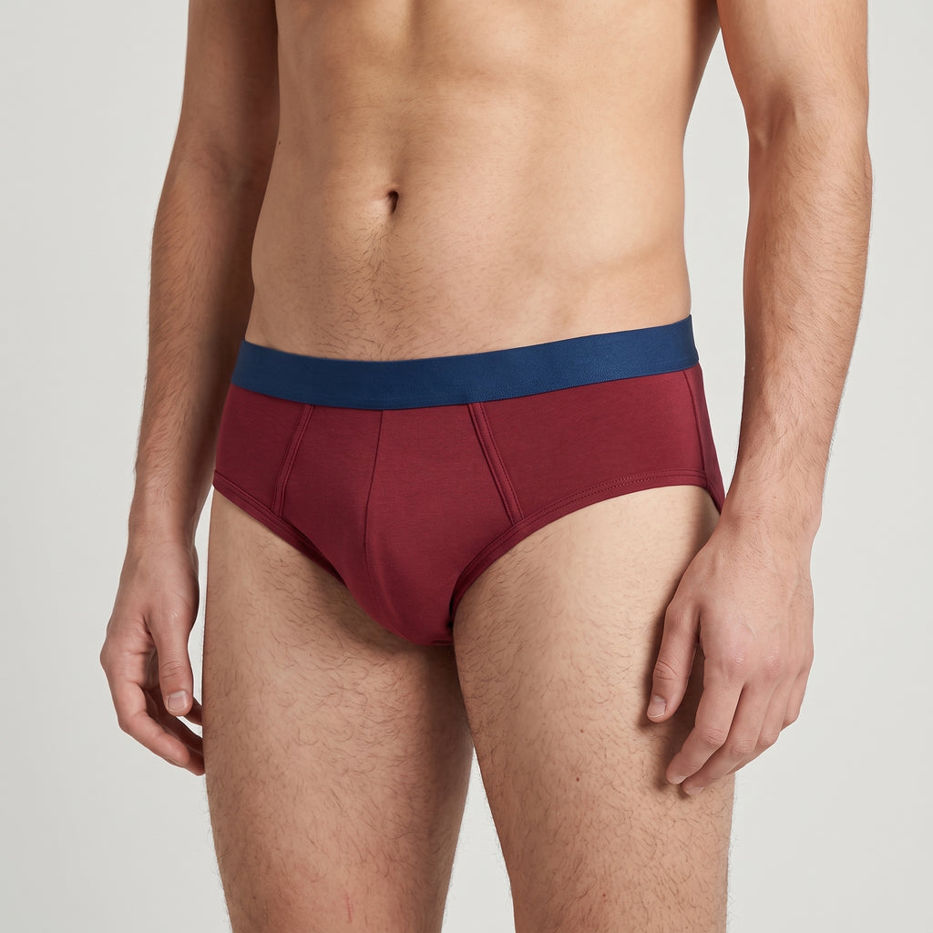 Plain Cotton Brief | 2-Pack Two Colors, worn, close-up