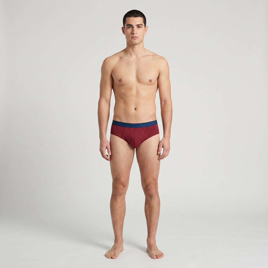Plain Cotton Brief | 2-Pack Two Colors, worn, front view