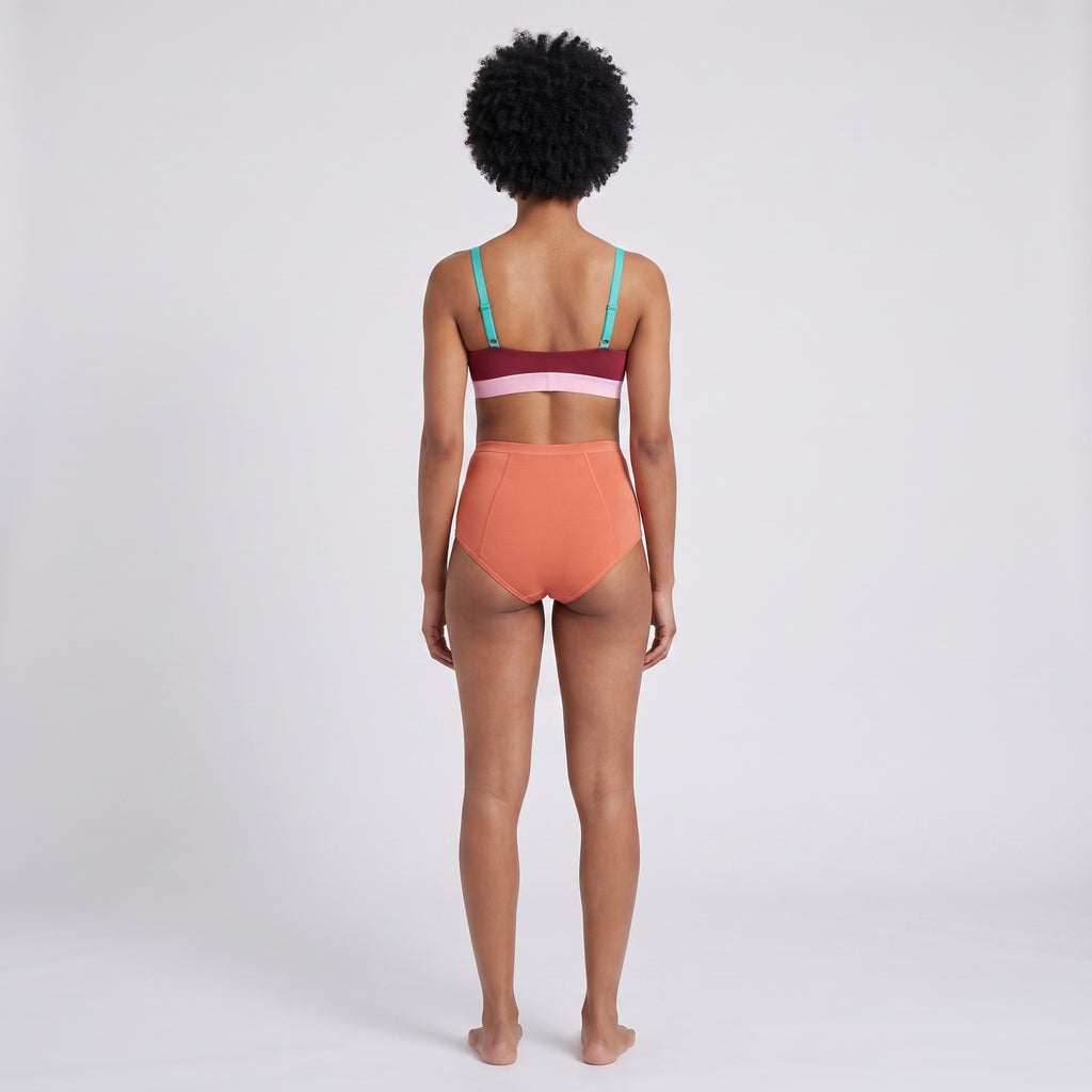 Plain Cotton High-Waist Brief | 3-Pack Single Color, worn, back view, second colourway